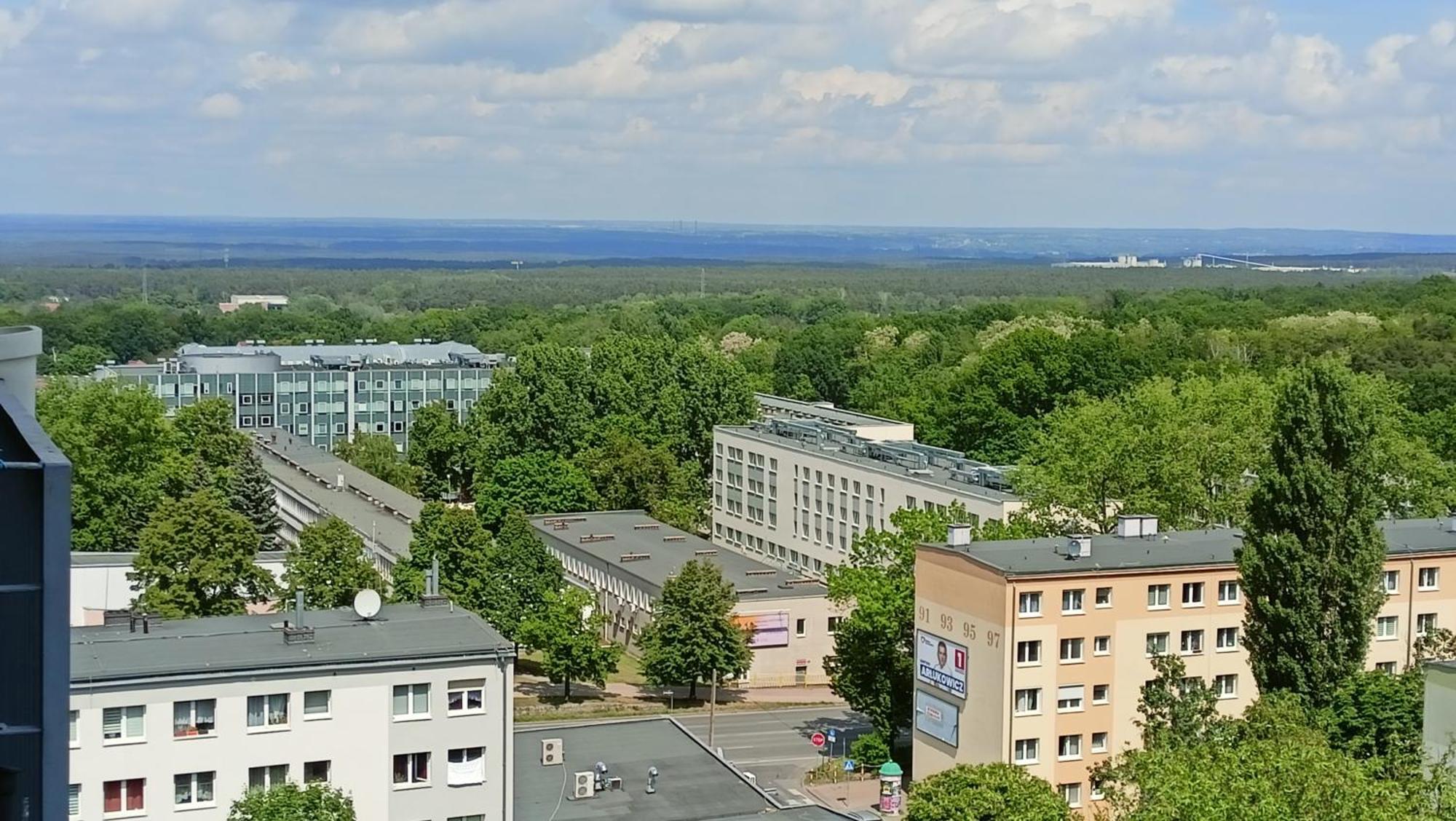 Drzewna Apartamenty - Wladyslawa Zielona Góra Exterior foto