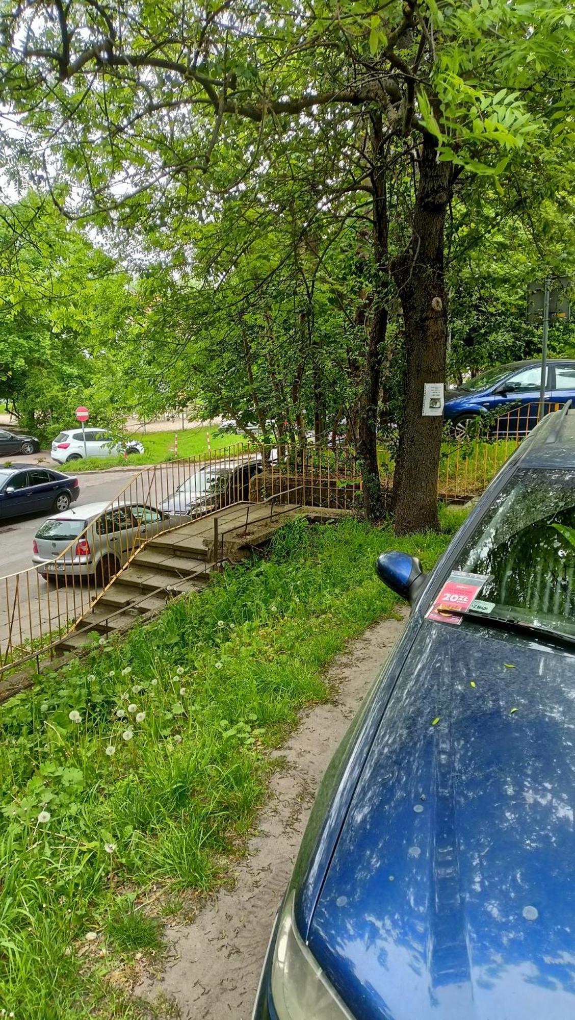 Drzewna Apartamenty - Wladyslawa Zielona Góra Exterior foto