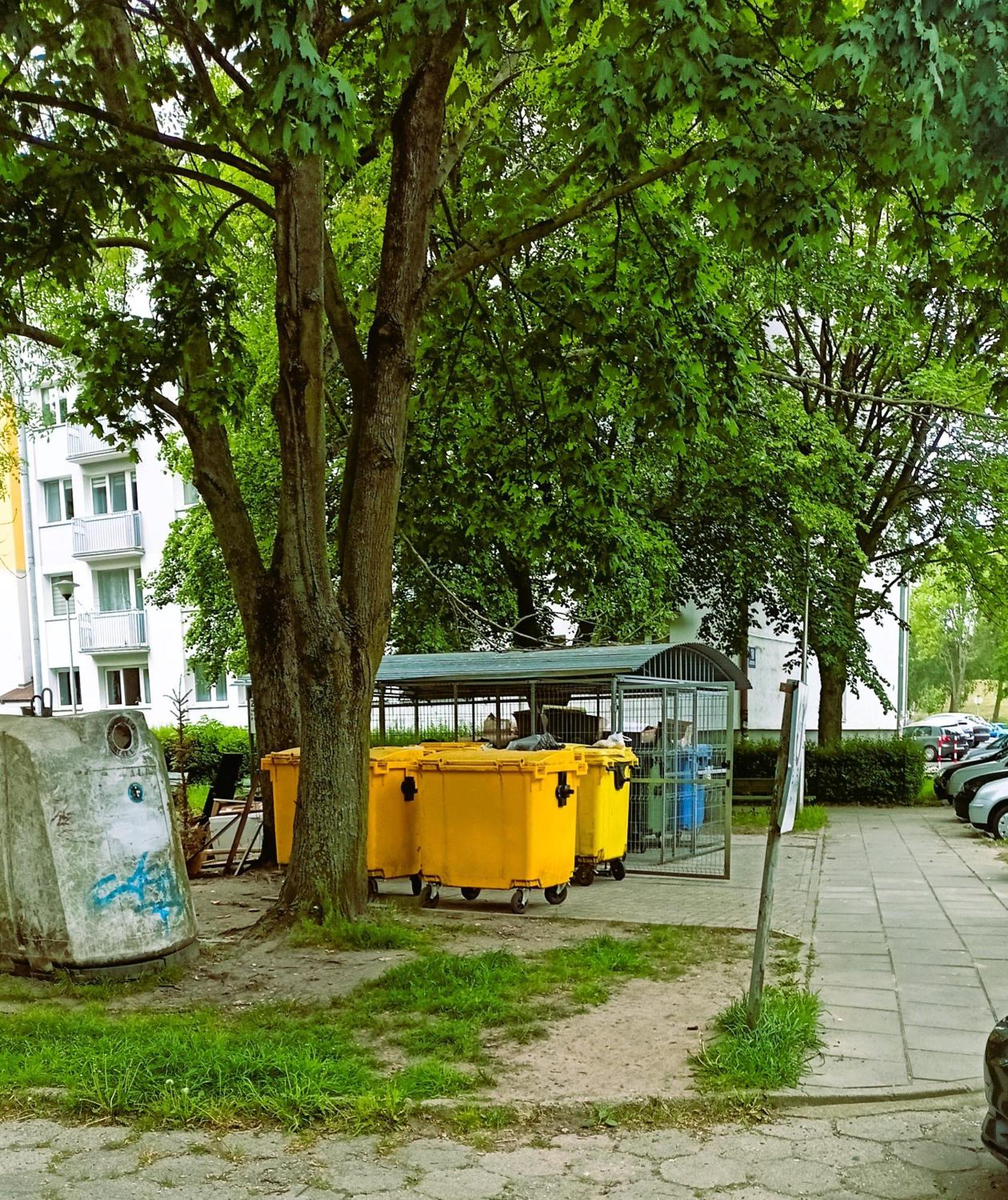 Drzewna Apartamenty - Wladyslawa Zielona Góra Exterior foto